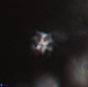 Discoaster artatus 28337