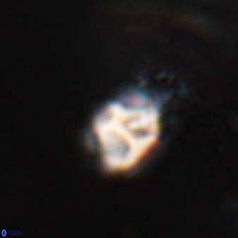 Discoaster artatus 28375