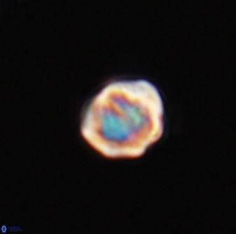 Discoaster leios 30042