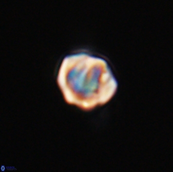 Discoaster leios 30043