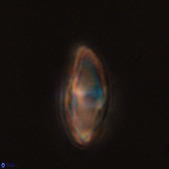 Discoaster lenticularis 57920