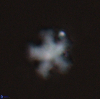 Discoaster leroyi 27773