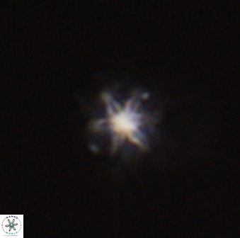 Discoaster self trailliae 32044