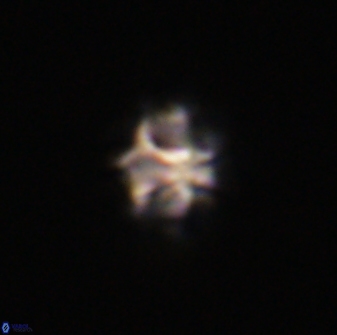 Discoaster self trailliae 32040