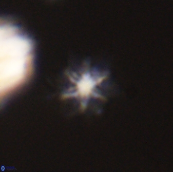 Discoaster self trailliae 32070