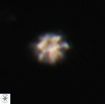 Discoaster self trailliae 32096