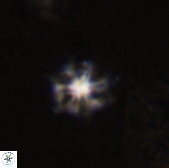 Discoaster self trailliae 32149