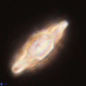 Discoaster splendidus 58258