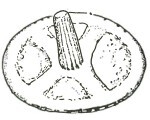 Eiffellithus turriseiffelii 16883