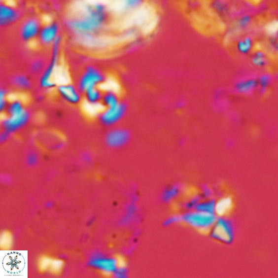 Furcatolithus peartiae 161