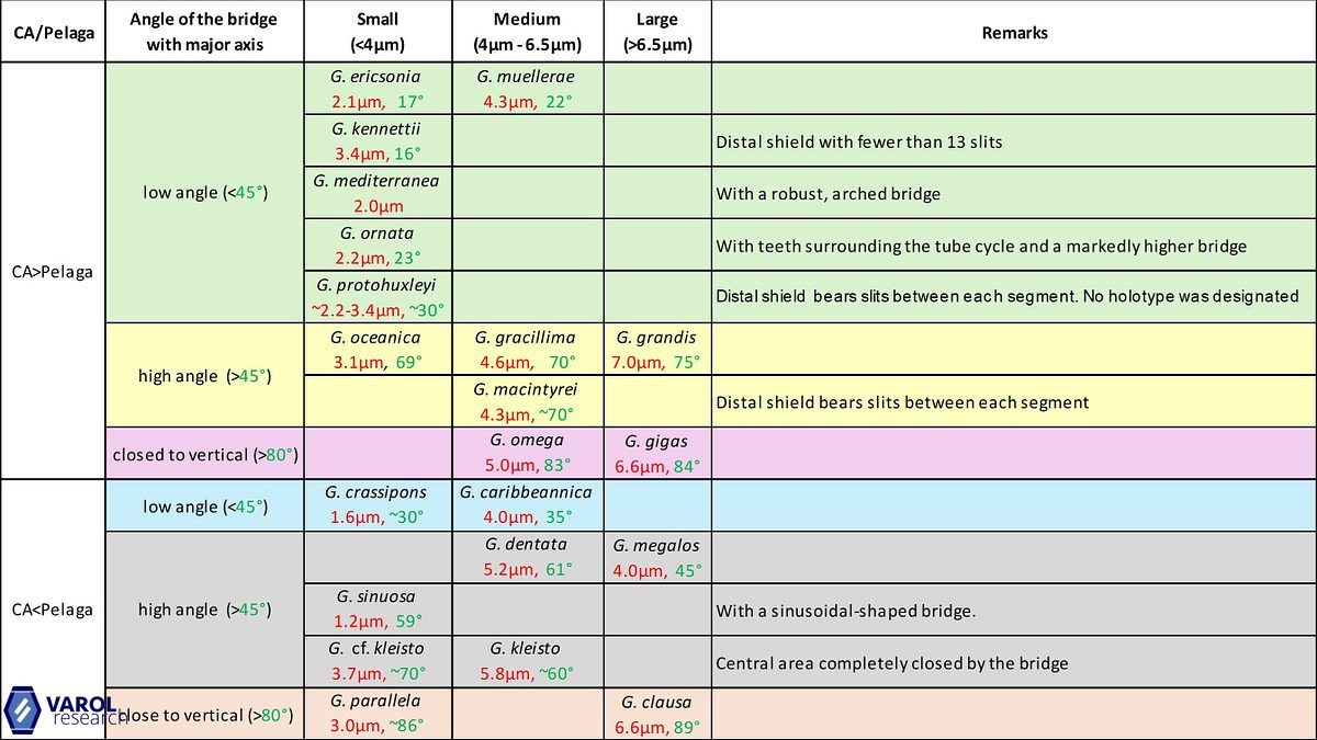Gephyrocapsa overview final 1b