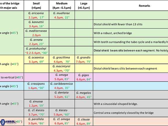Gephyrocapsa overview final 1b2