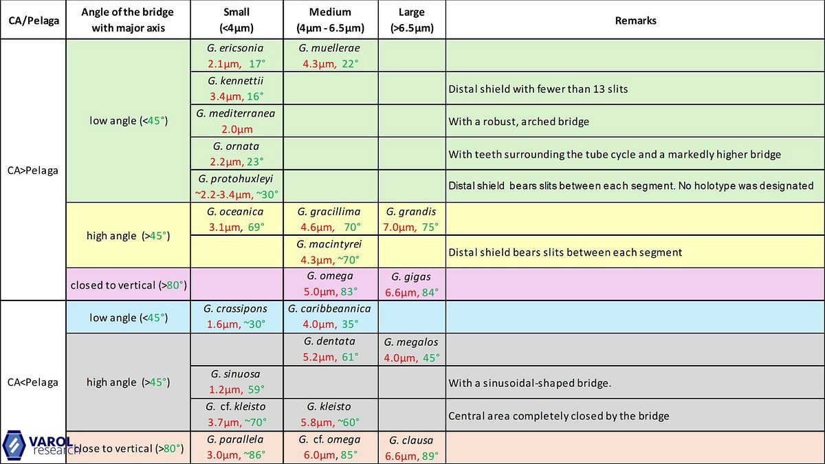 Gephyrocapsa overview final 1b2