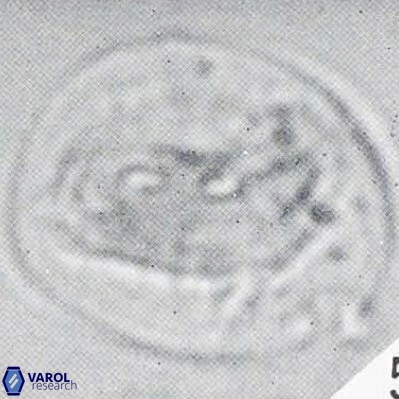 Helicosphaerella compacta VR 027539