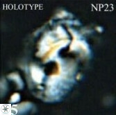 Helicosphaera huangii VR 33485