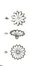 Discoaster barbadiensis VR 026302