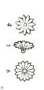 Discoaster barbadiensis VR 026302
