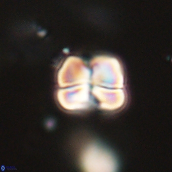 Heliolithus aktasii 68917