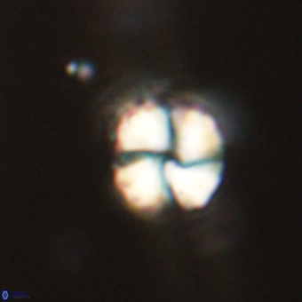 Heliolithus aktasii 68936