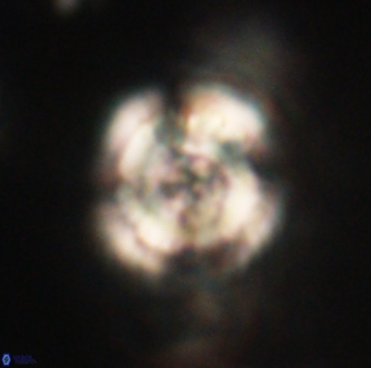 Heliolithus iptamenosdiskos 62588