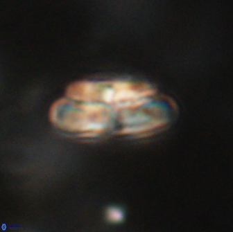 Heliolithus iptamenosdiskos 65766