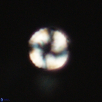 Heliolithus nefroeidis 66104