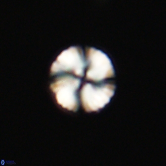 Heliolithus nefroeidis 66619