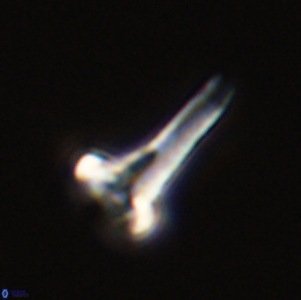 Isocrystallithus compactus 39444