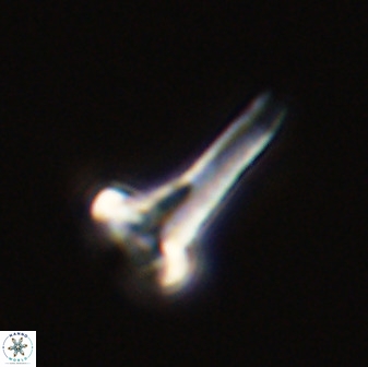Isocrystallithus compactus 39444