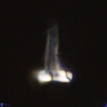 Isocrystallithus compactus 39483