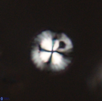 Isespetrinesaspides foteinokentro 55050