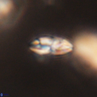 Isespetrinesaspides foteinokentro 55056