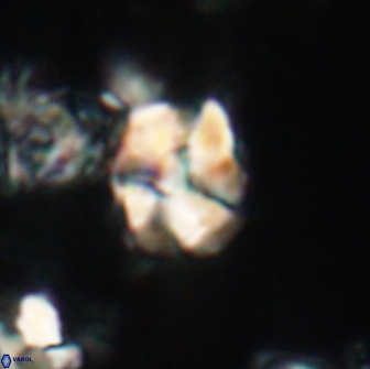 Karoulilithos ayseguliae 21864