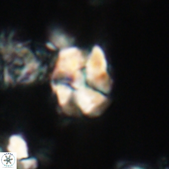 Karoulilithos ayseguliae 21864