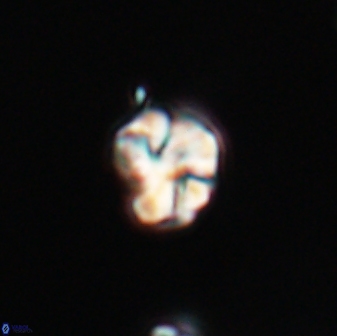 Karoulilithos ayseguliae 23861