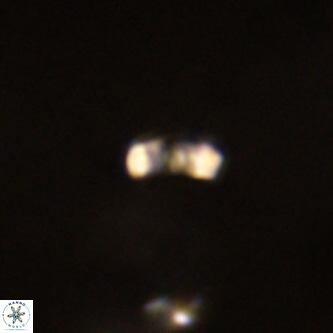Lanternithus duocavus VR 01069