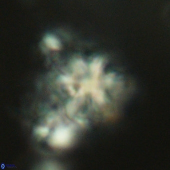 Olladiscoaster exagonikoasteri VR 18960