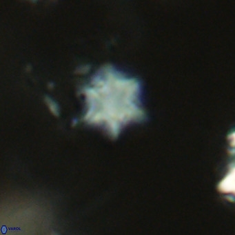 Olladiscoaster exagonikoasteri VR 18245