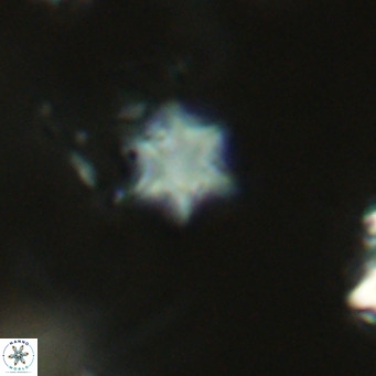 Olladiscoaster exagonikoasteri VR 18245