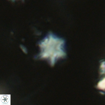 Olladiscoaster exagonikoasteri VR 18248
