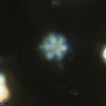 Olladiscoaster exagonikoasteri VR 18272