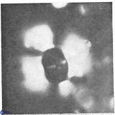 Pickelhaube furvita 3775