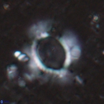 Pickelhaube furtiva 14445