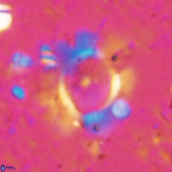 Pickelhaube furtiva 14448