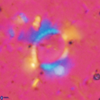 Pickelhaube furtiva 14449