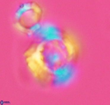 Pickelhaube furvita 2896