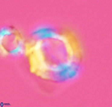 Pickelhaube furvita 2899