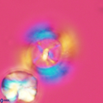 Pickelhaube furvita 3777