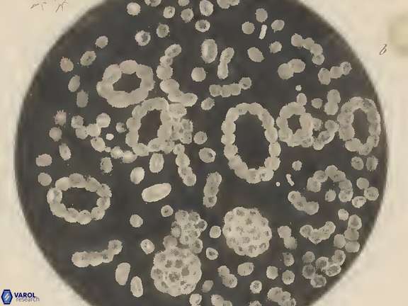 Pl 30 B