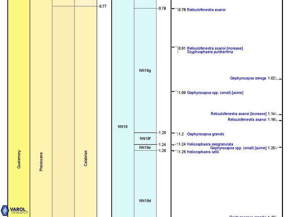 Quaternary Nannofossil Zonation Scheme